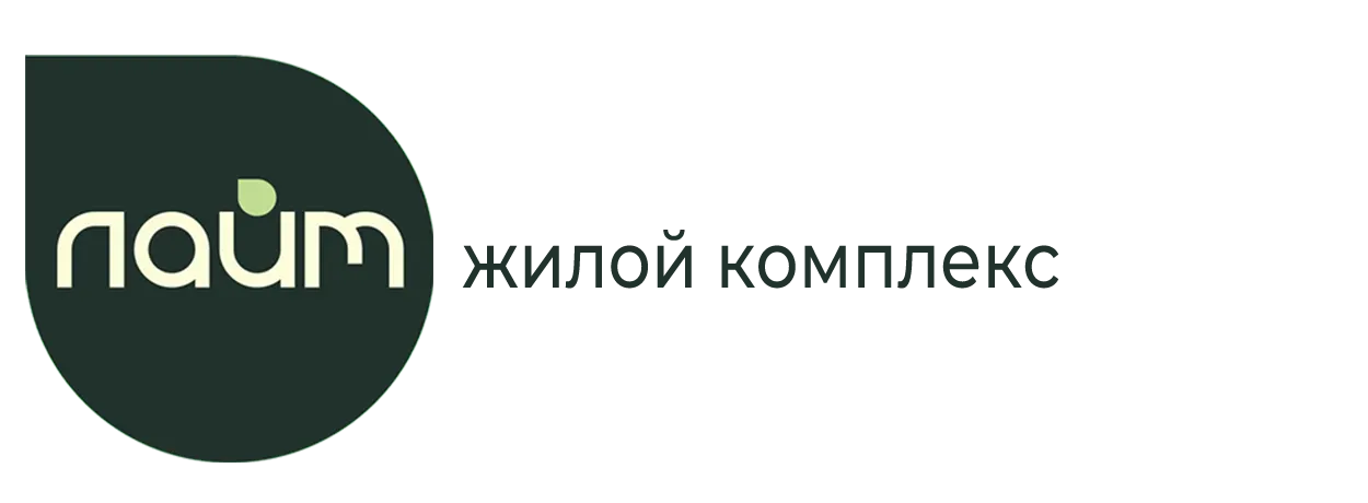 ЛАЙМ, Саранск